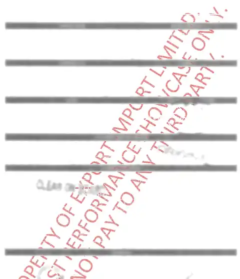Redacted cargo document showing the past-performance-only control watermark